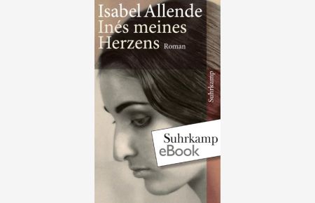 Inés meines Herzens: Roman (suhrkamp taschenbuch)