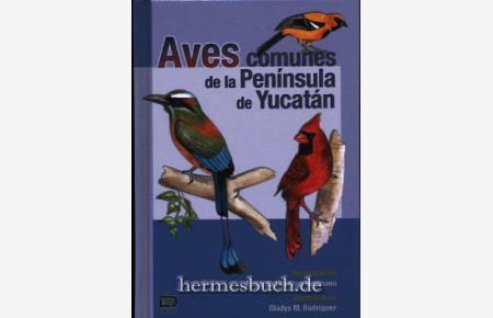 Aves comunes de la Península de Yucatán.