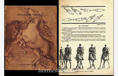 Encyclopédie Francaise du Cheval de Sang.