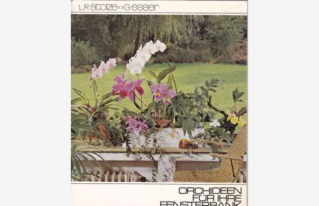 Orchideen für Ihre Fensterbank