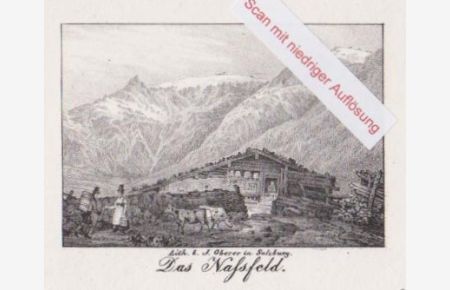 Das Nassfeld. Orig. Lithographie bei J. Oberer. Salzburg, um 1835.