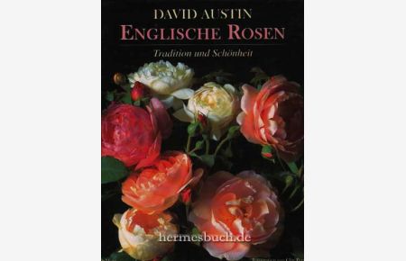 Englische Rosen.   - Tradition und Schönheit.