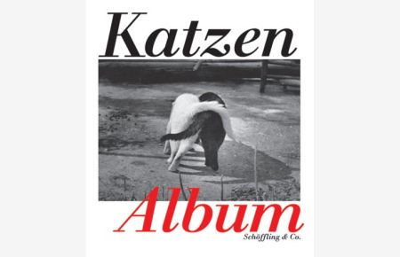 Katzen-Album.   - hrsg. von Julia Bachstein