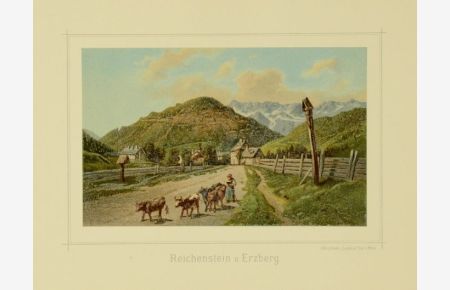 „Reichenstein u. Erzberg“.