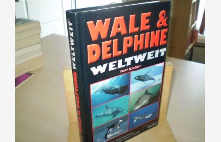 Wale & Delphine weltweit.   - Pazifischer Ozean, Indischer Ozean, Rotes Meer, Atlantischer Ozean, Karibik, Arktis, Antarktis.