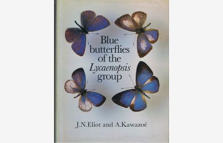 Blue Butterflies of the Lycaenopsis Group