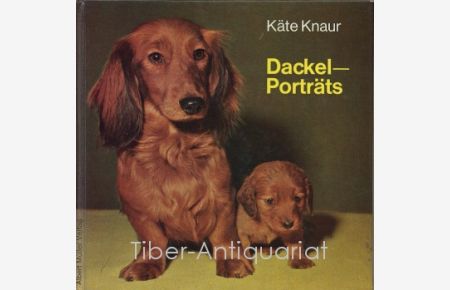 Dackel-Porträts.