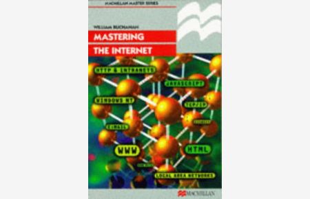 Mastering the Internet (Palgrave Masters Series (Computing))
