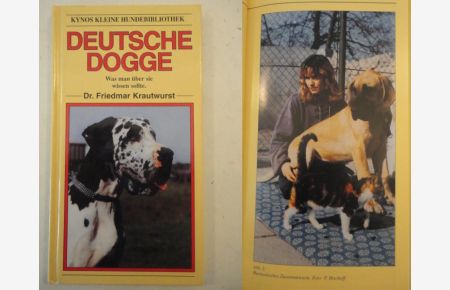 Deutsche Dogge: Was man über sie wissen sollte.