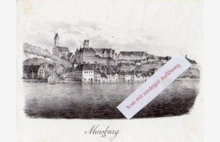 Meersburg. Orig. Lithographie von Pecht, 1832.