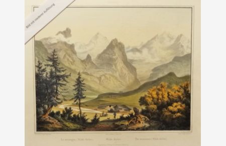Wilde Gerlos. Kolorierte Orig. Lithographie von Leopold Rottmann nach Georg Pezolt, 1849.