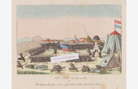 Alte Liebe rostet nicht oder Beschäftigung des großen Mannes auf der kleinen Ratten-Insel Sanct Helena. Orig. Radierung / Kupferstich, altkoloriert, um 1817.