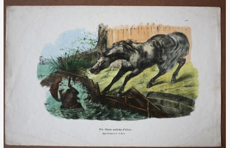 Die Stute und ihr Follen, Pferd, altkolorierte Kreidelithographie um 1830, Das Fohlen ist durch einen Bretterzaun ins Wasser gestürzt und die aufgeregte Stute versucht zu helfen, Blattgröße: 24, 7 x 38 cm, reine Bildgröße: 19, 5 x 28, 5 cm.