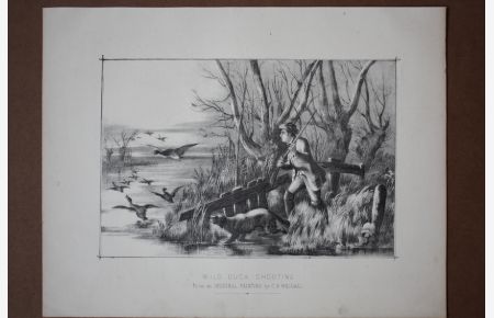 Wild Duck Shooting, Wildenten, Jäger, Hund, Gewehr, See, Lithographie um 1860 nach C. H. Weigall, Blattgröße: 23, 5 x 30, 5 cm, reine Bildgröße: 17, 8 x 22, 5 cm.