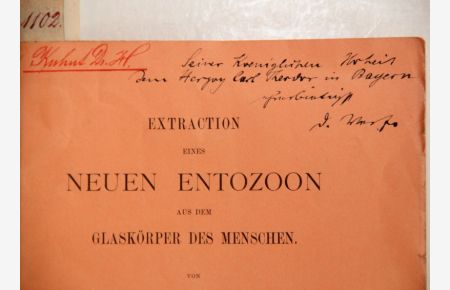 Extraction eines neuen Entozoon aus dem Glaskörper des Menschen. (= Separat-Abdruck aus Knapp-Schweigger's Archiv für Augenheilkunde).
