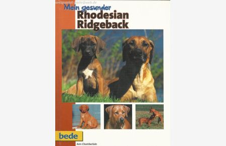 Mein gesunder Rhodesian Ridgeback.