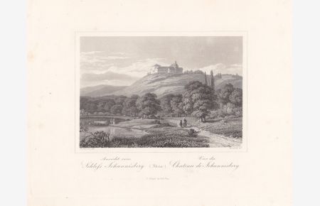 Ansicht vom Schloss Johannisberg, Rhein, Stahlstich um 1850 von Rudolf nach Dielmann, Blattgröße: 19, 8 x 25 cm, reine Bildgröße: 17 x 22 cm.