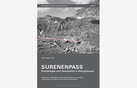 Surenenpass: Archäologie und Geschichte in Attinghausen (Archäologische Prospektion - Archaeological Survey)