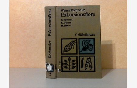 Exkursionsflora für die Gebiete der DDR und der BRD Band 2: Gefäßpflanzen