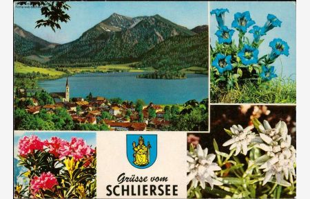 Grüsse vom Schliersee, Blumen, Ortsansicht, 1973 Mehrbildkarte