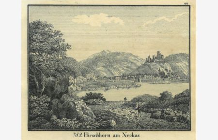 Blick über den Neckar auf Stadt und Burg.