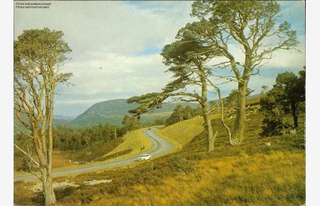 The Cairngorm Ski Road , Inverness -shire