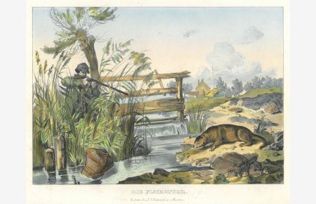 Die Fischotter. Links ein Jäger mit Flinte im Schilf, der auf einen Fischotter an einem Bach zielt.