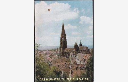 Das Münster zu Freiburg i. Br.