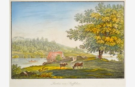 Parthie vom Staffelsee. Teilansicht des Sees, rechts vorne zwei grasende Rinder sowie unter einem mächtigen Baum eine rastende Frau.