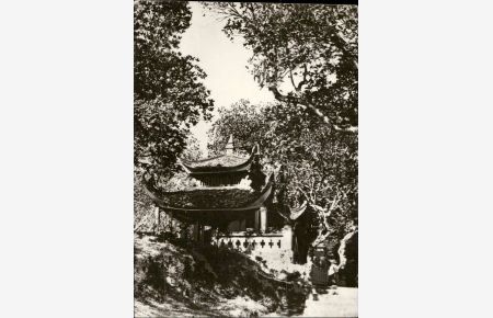 1050565 Une vue de la pagoda Co Loa