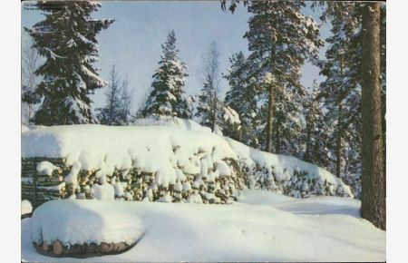 1068352 Finnland Winterlandschaft