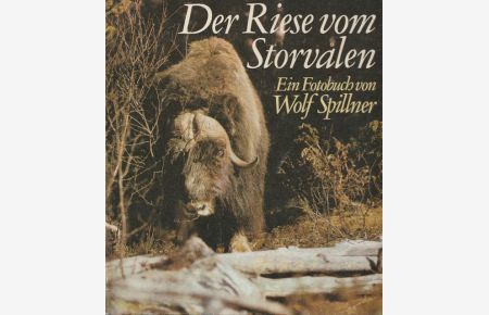 Buch: Schmetterlinge Kinderbuchverlag gebraucht Spillner Wolf 1989 gut 