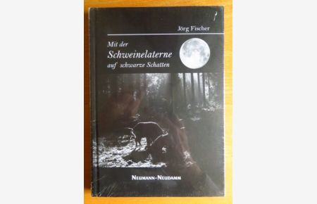 Mit der Schweinelaterne auf schwarze Schatten.