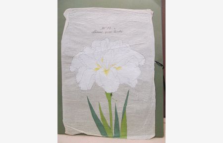Iris Kaempferi: Shimo-yono-tsuki. Original-Aquarell auf Japanpapier – offenbar als Vorlage für die Yokohoma Nursery School Co. , Ltd. für deren Mappenwerke zur Japanischen Iris.