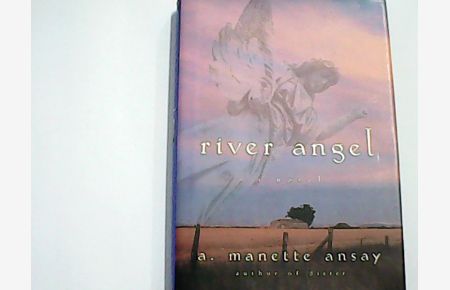River Angel: A Novel
