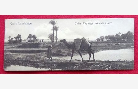Ansichtskarte AK Cairo Landscape / Caire Paysage pres du Caire