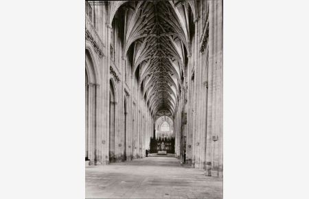 1081671 Winchester Cathedral - the Nave