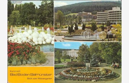 1110183 Bad Soden Salmünster, Blick vom Wassergarten Mehrbildkarte