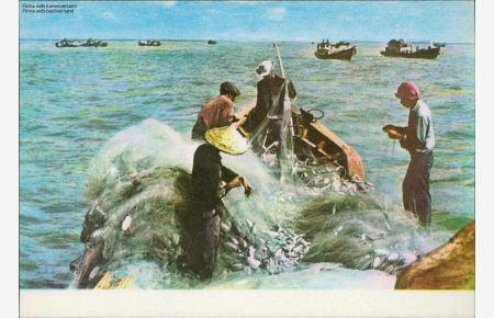 1116467 Vietnamesische Fischer, Netz, Tien Giang Küste