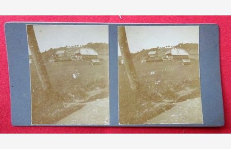 Original Stereoskopie-Fotografie (Stereobild. Stereophotographie). Schwarzwaldhof bei Furtwangen 1910