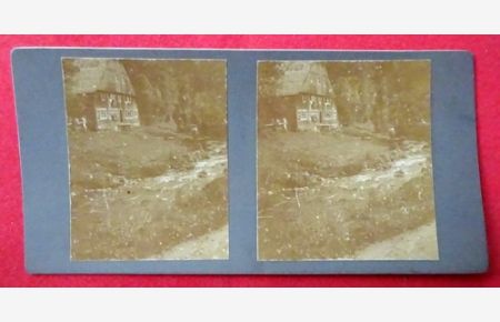 Original Stereoskopie-Fotografie (Stereobild. Stereophotographie). Schwarzwaldhaus bei Neueck 1910