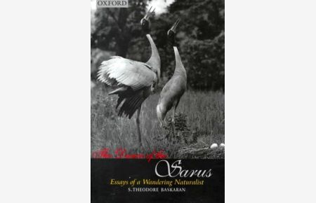 The Dance of the Sarus. Essays of a Wandering Naturalist.