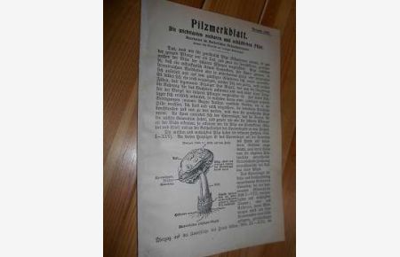 Pilzmerkblatt. Die wichtigsten essbaren und schädlichen Pilze. Ausgabe 1906.