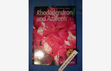 Schöne Rhododendron und Azaleen.   - Rainer und Helmut Härig