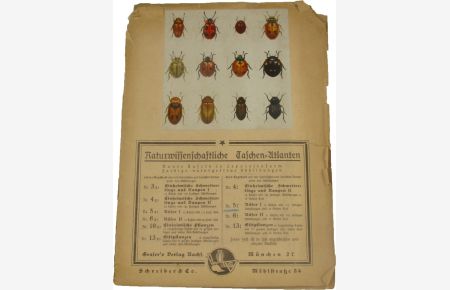 Naturwissenschaftliche Taschen-Atlanten. Nr. 5. Käfer I.