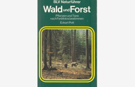 Wald und Forst.   - Pflanzen und Tiere nach Farbfotos bestimmen,