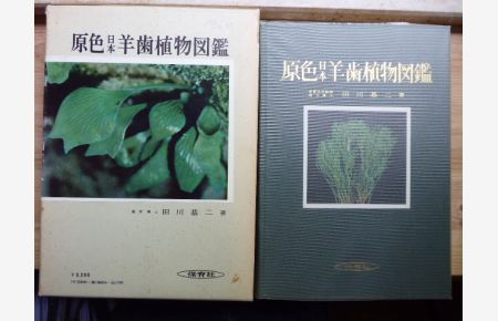 Coloured Illustrations of the Japanese Pteridophyta.