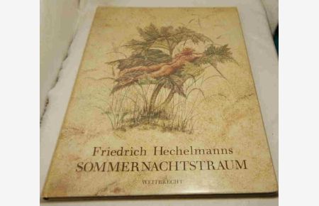 Friedrich Hechelmanns Sommernachtstraum  - William Shakespeares Märchenspiel in Mary Lambs Nachschrift Nachwort von Antje Vollmer