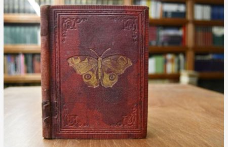 Die Schmetterlinge. Eine Anleitung zur Kenntniß der Schmetterlinge und Raupen, welche in Deutschland vorkommen, nebst einer Anweisung Schmetterlings- und Raupensammlungen zweckmäßig anzulegen.