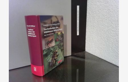 Taschenlexikon der Wildbienen Mitteleuropas : alle Arten im Porträt.   - Erwin Scheuchl, Wolfgang Willner / Quelle & Meyer Taschenlexikon